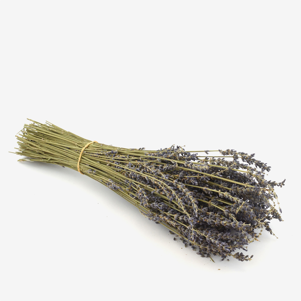 Aromatic Plants & Herbs