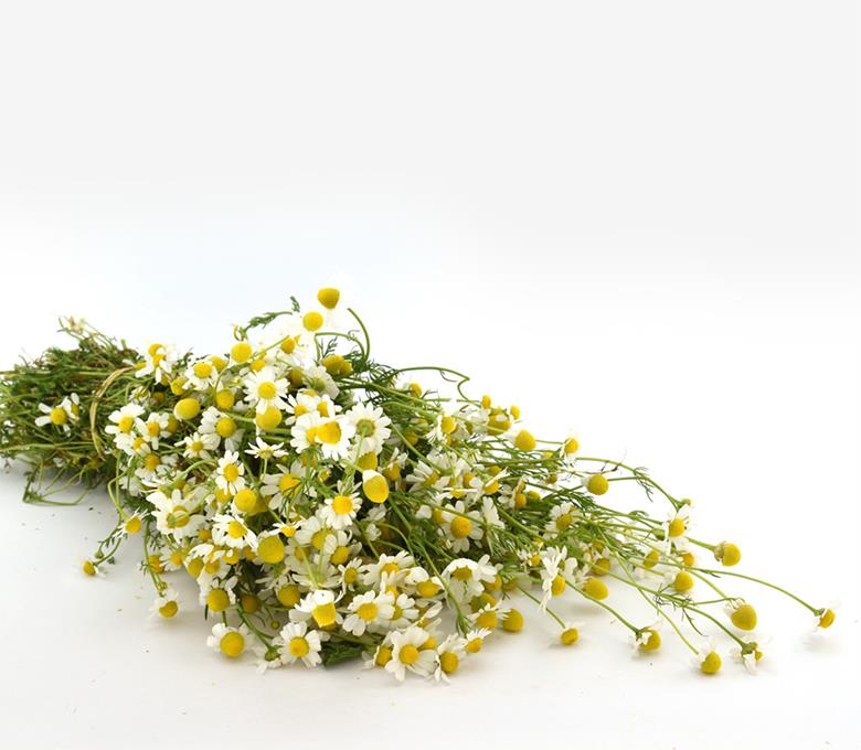 Κρητικά Βότανα