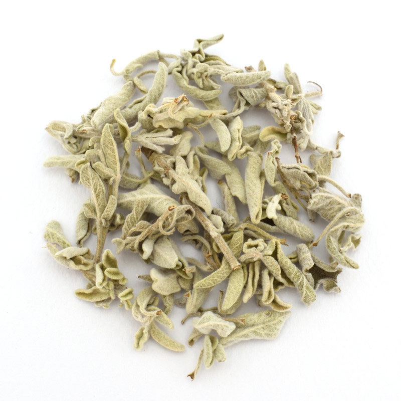 Sage (Salvia triloba)