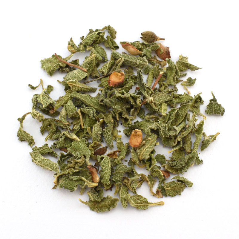 Pink rock-rose (Cistus creticus)